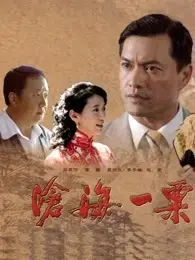 沧海一粟：时代洪流中的微光，见证小人物的命运浮沉