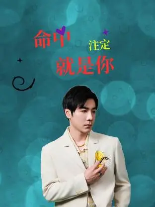 命中注定就是你：爱情喜剧的浪漫邂逅与命运羁绊