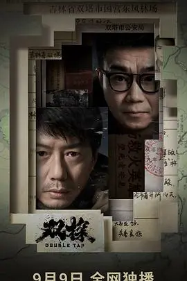 《双探》：双重调查中的悬疑与惊险冒险之旅
