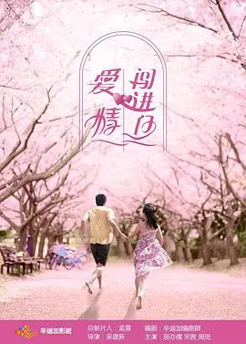 意外邂逅的浪漫之旅：爱情闯进门的温暖故事