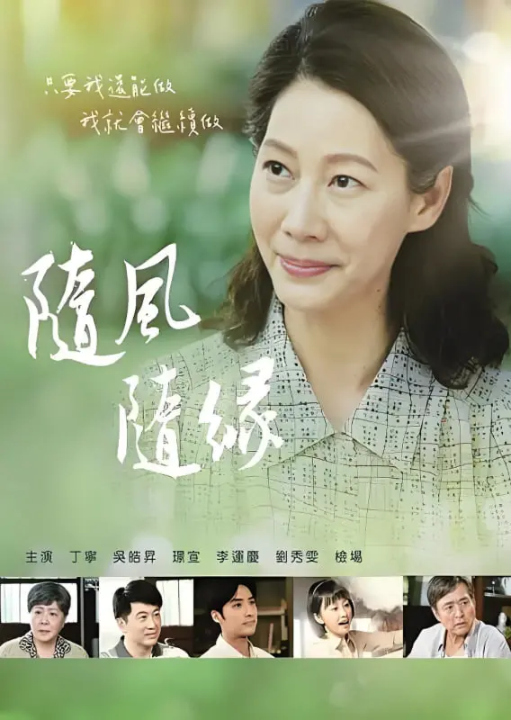 《随风 随缘》：一场关于命运与自由的追寻，看主角如何破局人生困境！